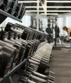 palestra