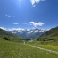 img_7405-610x610