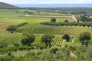 Agriturismo a Castagneto Carducci