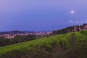 Relais 4 stelle a Conegliano