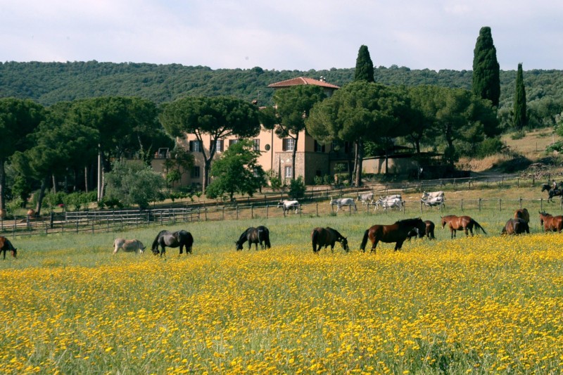 fattoria-grosseto