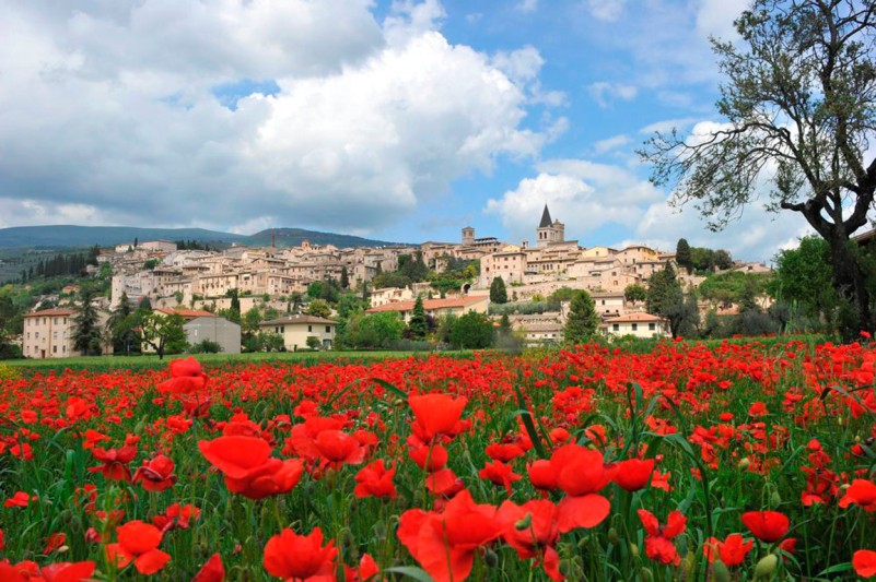 1spello