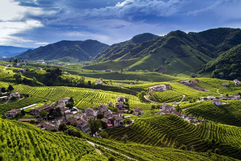 colline_prosecco 1