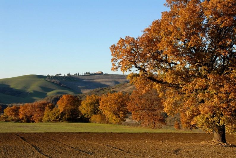 colli bolognesi