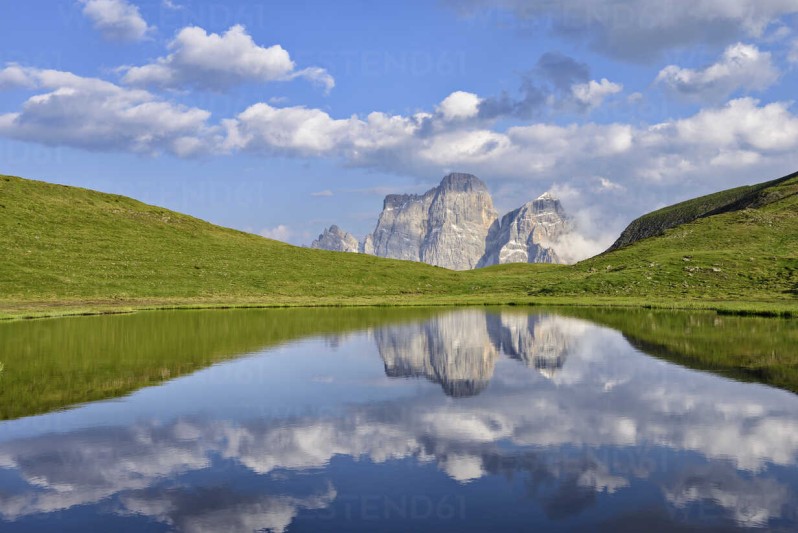 cadore