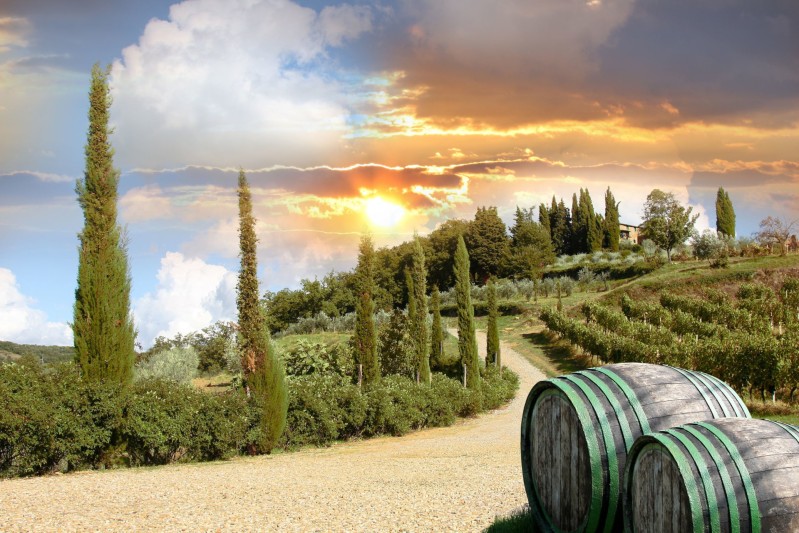 colline toscana