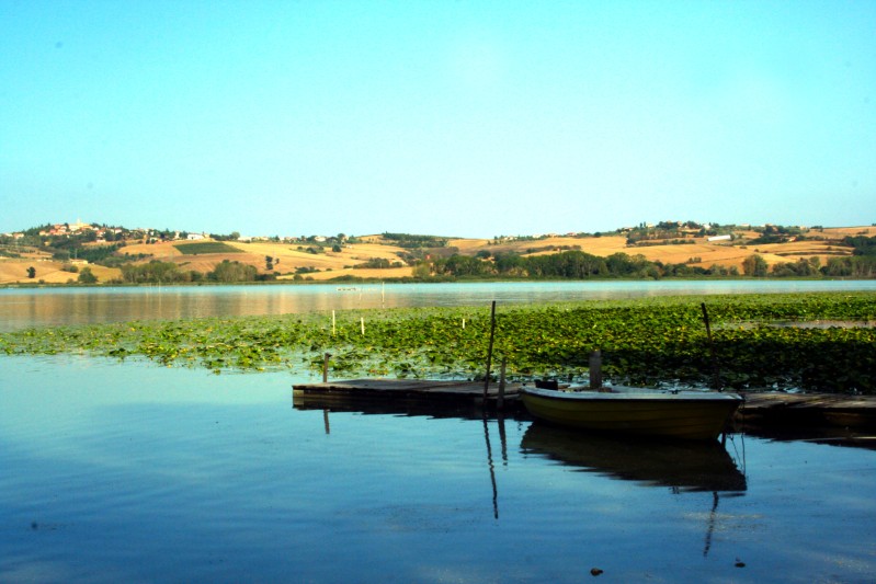 chiusi