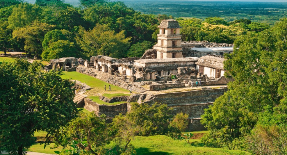 head_ss_palenque_151982564_apf0fe