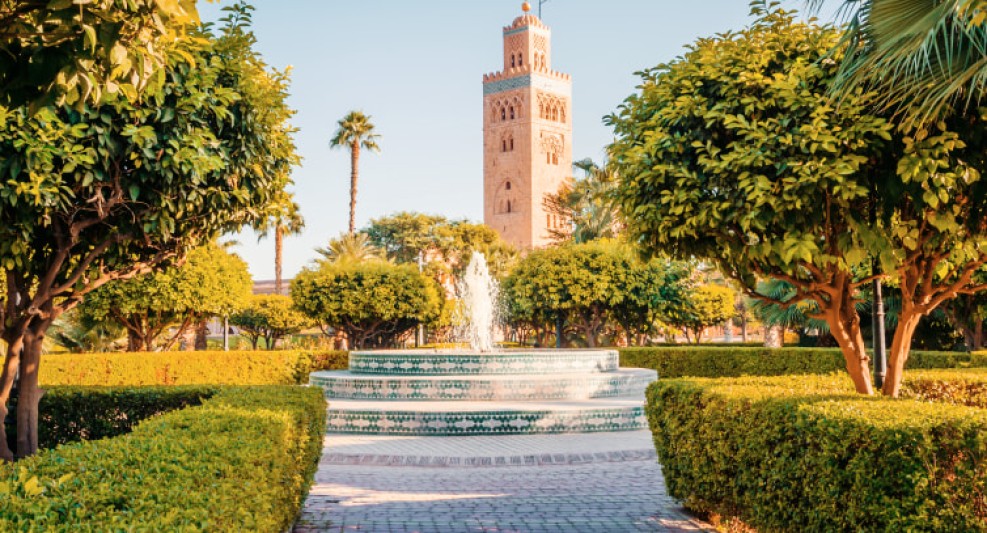 7aa-ss_goutoubia_1051919429_soh4jf