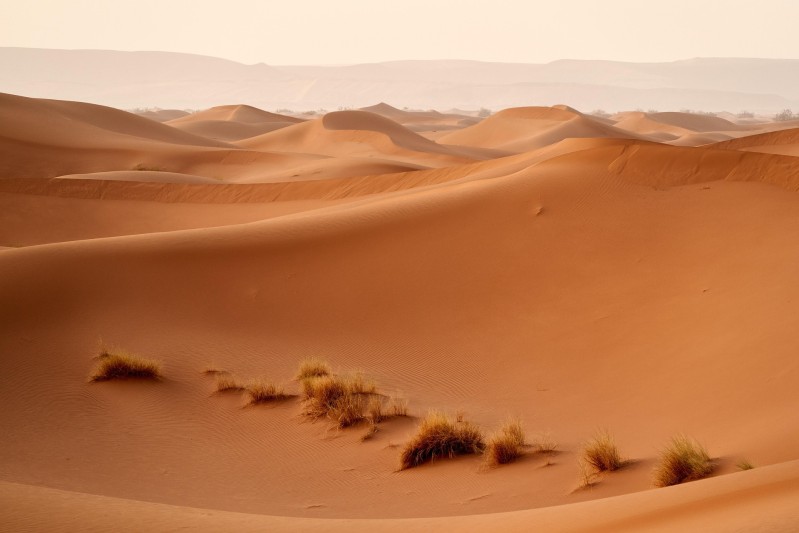 desert-6223778_1920